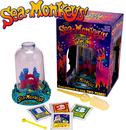 sea monkeys kit