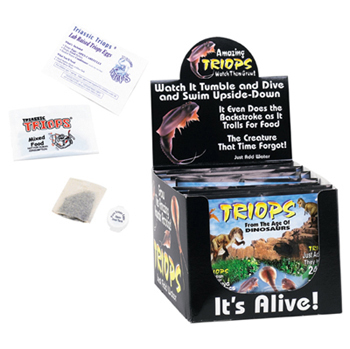 TRIASSIC TRIOPS – Science World Science Store